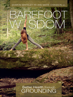 cover image of Barefoot Wisdom